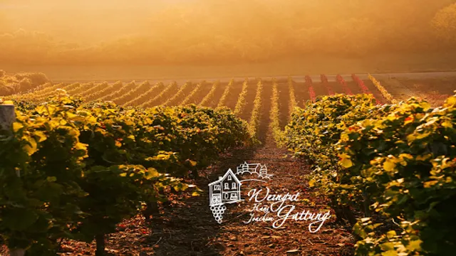 Weingut Hans Joachim Gattung - Gutsausschank Eva Maria Gattung