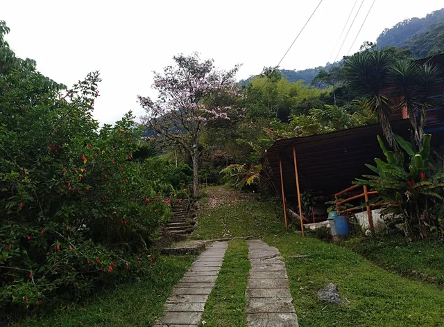 Reserva natural Ari Munani