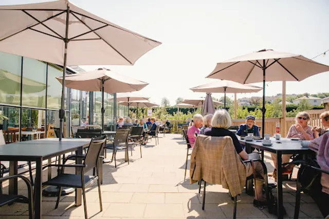 Ivy House Kitchen at Groves Nurseries