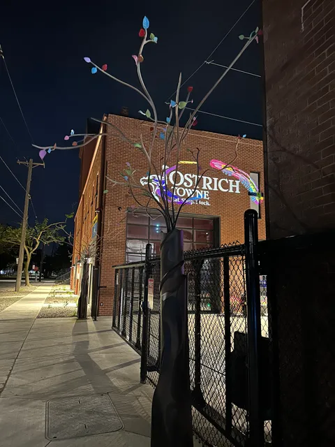 Avestruz Tapas and Tequila