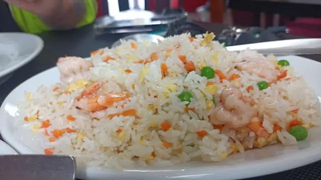 Restaurante Chino Jardin