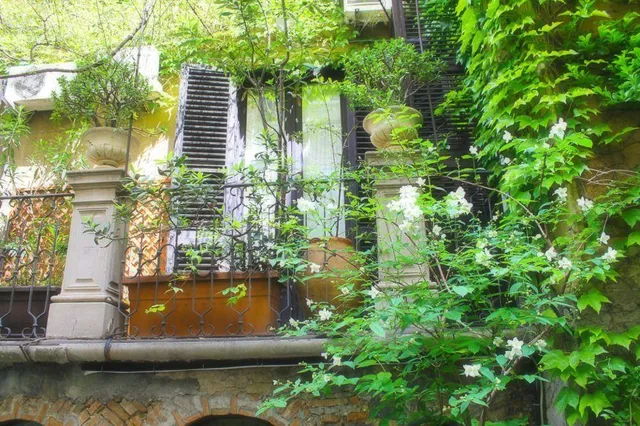 Inn The Garden Guest House