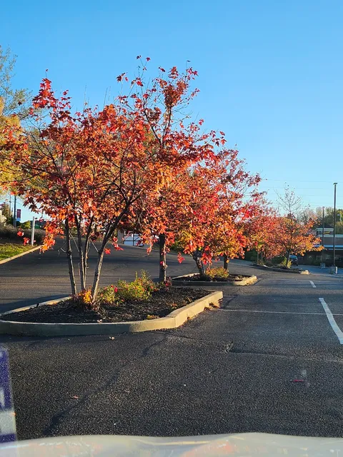 Oakwood Plaza Shopping Center