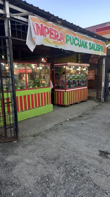 Ampera Pucuak Salero