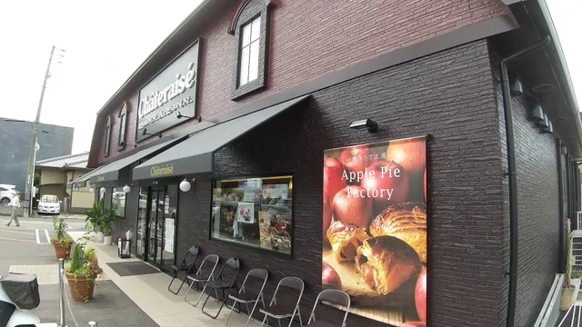 Chateraise Sunflower