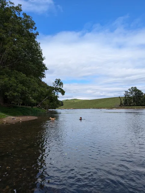 Camp Cheerio Adventure Camp