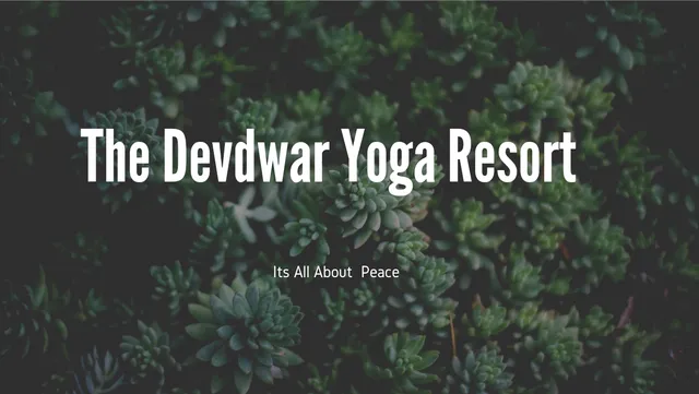 The Devdwar Yoga Resort