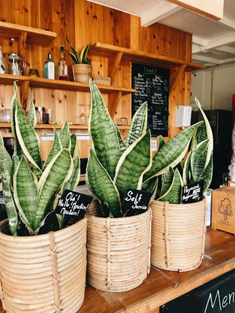 Santa Barbara Eco Beach Restaurant