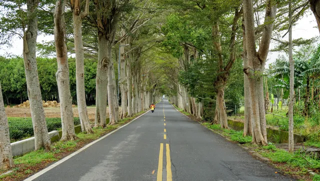 place image