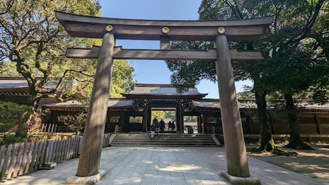 Couple Camphor Trees