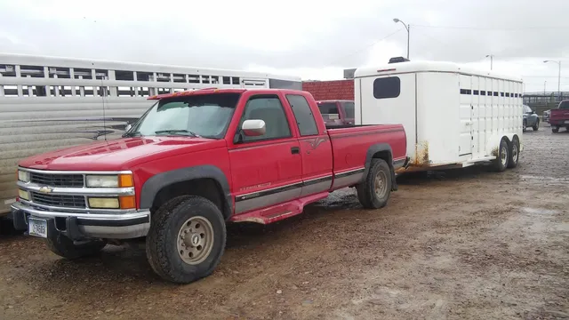 Western Livestock Auction