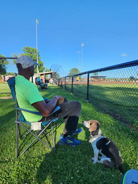 Gower Baseball Fields