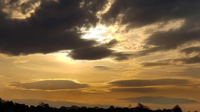 The Charles Restaurant