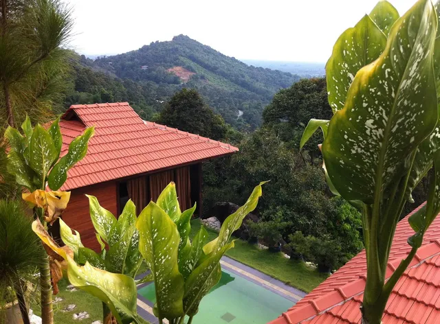 Bao Sheng Durian Farm