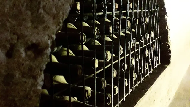 Pisco Elqui - Hotel Elqui - Ruta del Pisco Chile