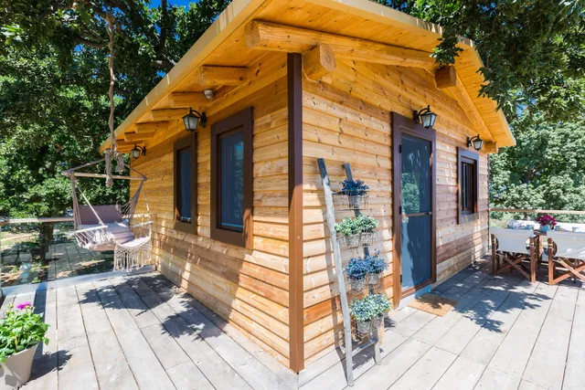 Stolidi mou Treehouse