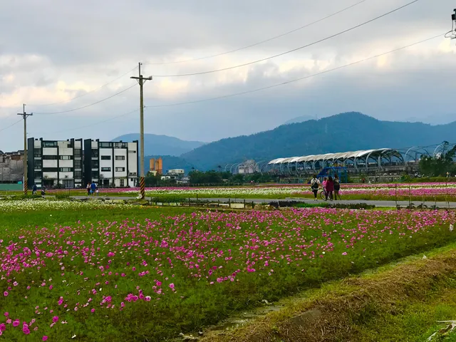 斑馬芭芭菈villa - 宜蘭包棟民宿 包棟親子民宿 冬山包棟烤肉民宿 戲水池民宿 冬山包棟住宿 冬山生態民宿 火車站包棟民宿 冬山住宿 宜蘭人氣民宿