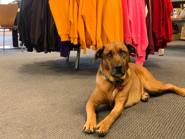 JH Tackett Marketing Ilc