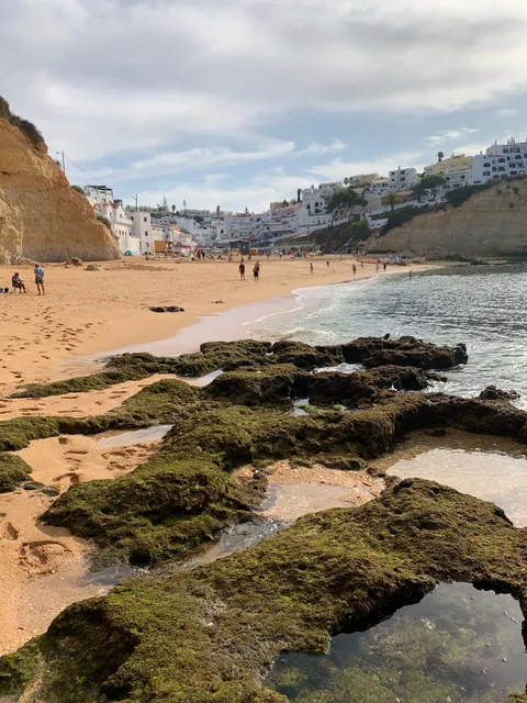 Oasis Praia Carvoeiro Bay