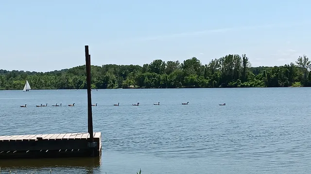 Creve Coeur Lake Memorial Park