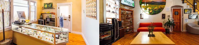 Native Roots Dispensary Dandelion MED