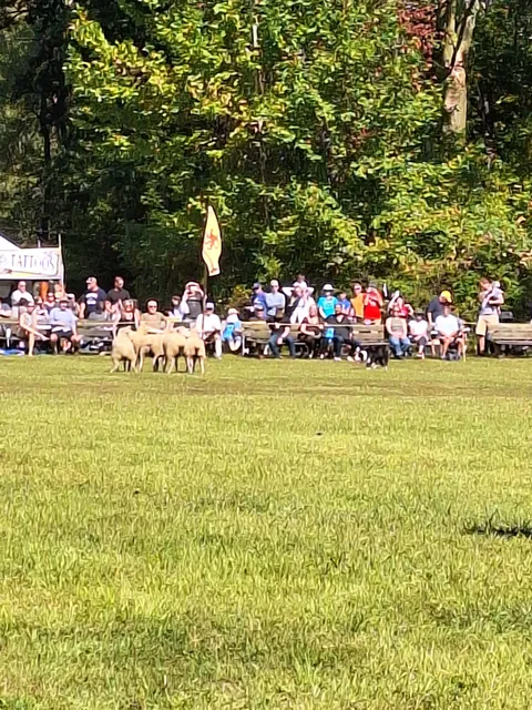Ligonier Highland Games