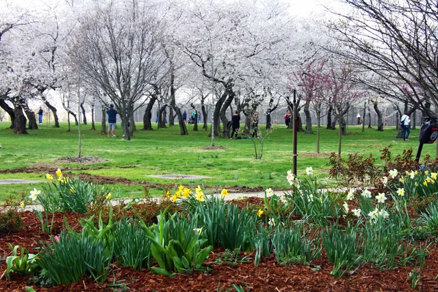 German-American Friendship Garden