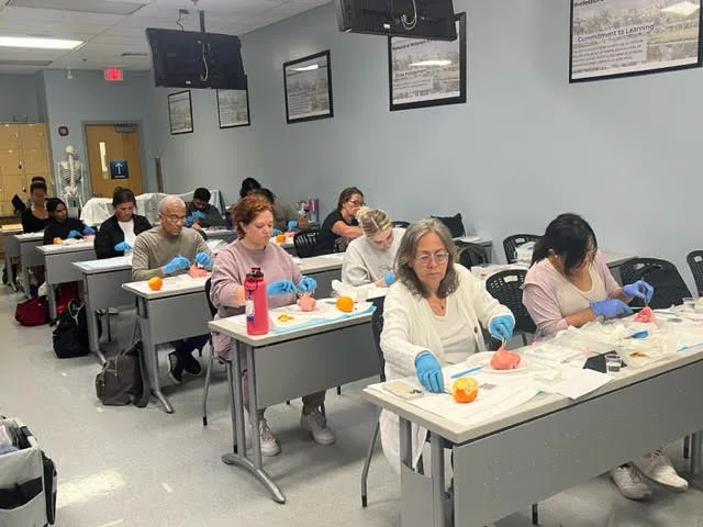 ILWTI - Lymphedema & Wound Training Institute