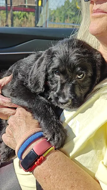 Nichols Shopping Center