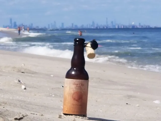 Joe Alloccas Pigeon Racing