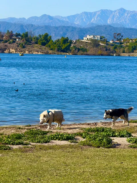 Puddingstone Lake/ Reservoir - East Shore
