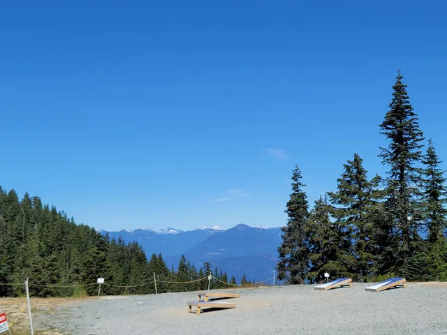 Cypress Eagle Coaster