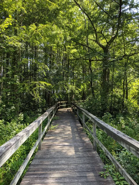 Adkins Mill Park and Nature Walk