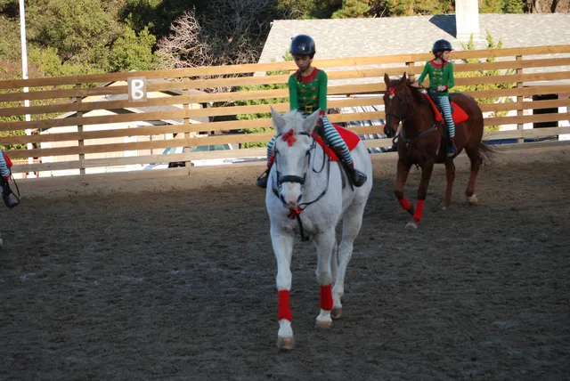 Castle Rock Arabians