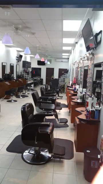 Oasis Unisex Hair Studio Llc