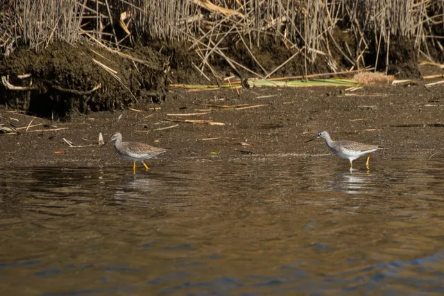 Meadowlands Environment Center - Closed Except for Public Events