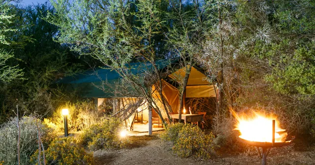 Chandelier Game Lodge