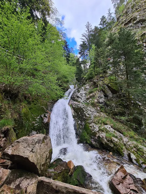 Schwarzwald National Park