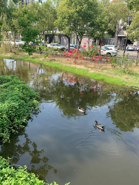 Qiaotoudifangfayuanshengtai Park