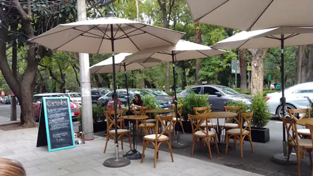 Santas Conchas Condesa