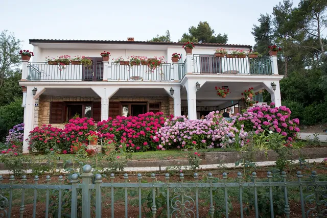 Villa Matohanca, Rovinj