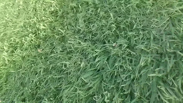 Kebele 08 admn.. Office