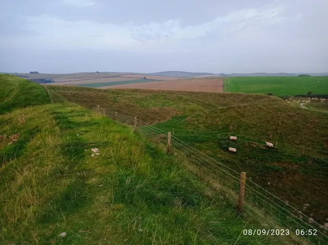 The Manor House camping