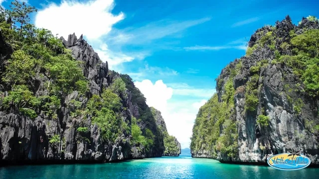 Hello El Nido Travel, Tours & Transport