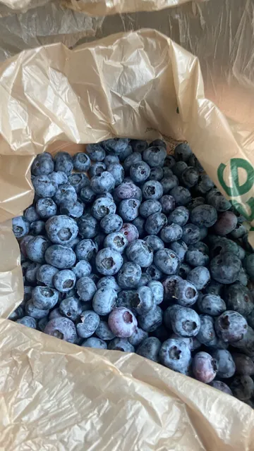 Blueberry Bliss Farm