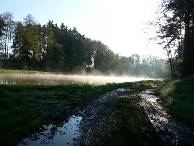 Ferienwohnung & Gästezimmer Rixner