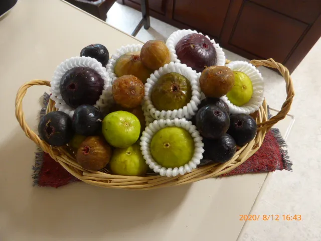 いちじく/蜂蜜 TAMURA