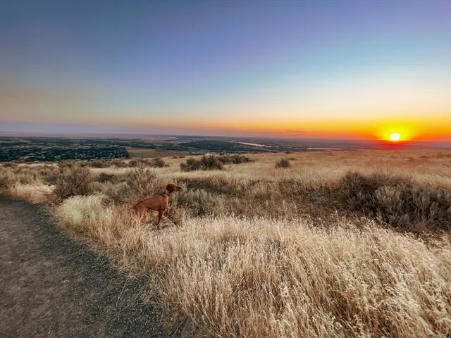Badger Mountain Westgate Trailhead