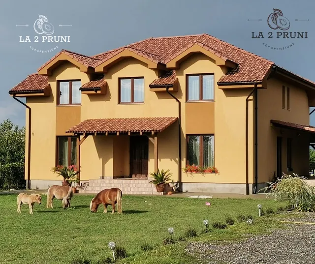 Pensiunea La Doi Pruni