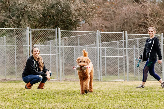 Archer Road Pet Resort - Archer Florida